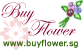 Primula Florist & Reef
