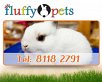 Fluffy Pets