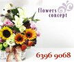 Flowers Concept