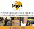 Pro World Logistics Pte Ltd