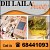 Dii Laila Beauty