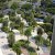 BSG Landscape & Construction Pte Ltd