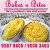 Bakes n Bites