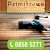 Primitives Woodworks Pte Ltd