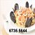 The Sailors (Marinai Pte Ltd)